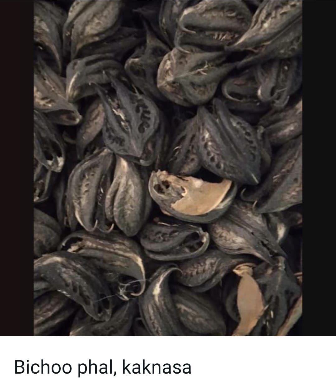 Bichoo Phool (Kaknasa)